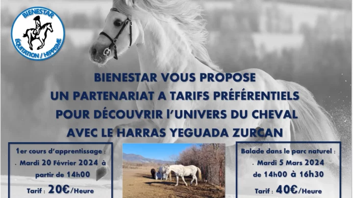 l’equitation-sur-la-baie-de-roses-:-une-experience-inoubliable-avec-bienestar-et-yeguada-zurcan